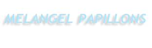 Melangel Papillons